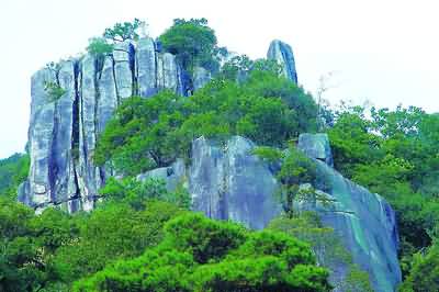 北京西沟原始森林图片_北京西沟原始森林_原始古老森林风格装修