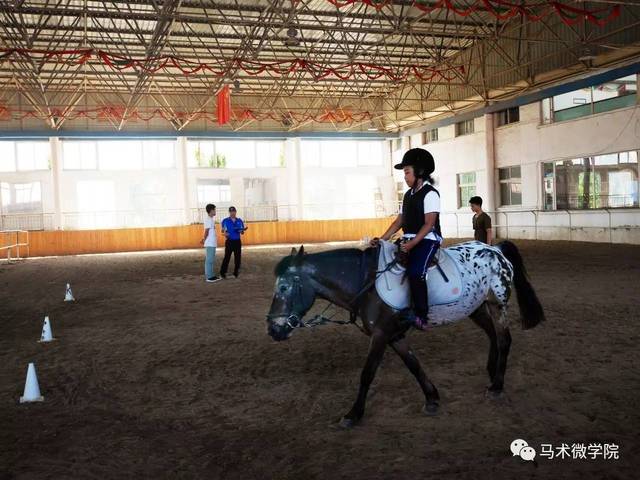 2级建造师报考条件_1级建造师法规_一级建造师考题