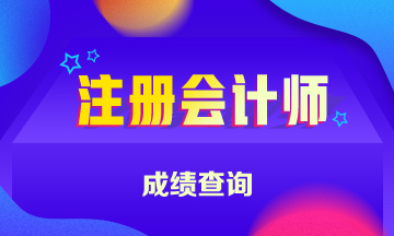 2020年河北注册会计师考试成绩查询时间