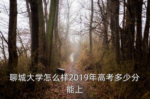 聊城大学怎么样2019年高考多少分能上