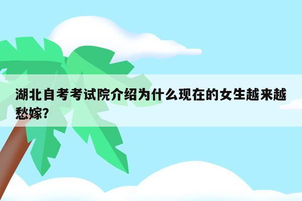 湖北自考考生登录入口_2023湖北省自考考生服务平台_湖北自考考生服务系统