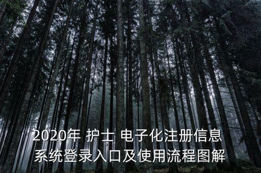 2020年 护士 电子化注册信息 系统登录入口及使用流程图解