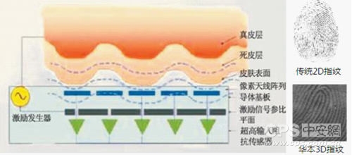 指纹打卡机怎么防止作弊_指纹对付打卡机怎么用_如何对付指纹打卡机