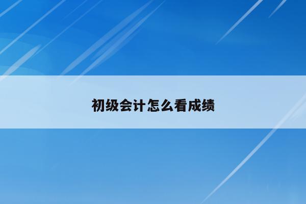 初级会计查询考试成绩时间_初级会计查询考试成绩网站_会计初级考试成绩查询