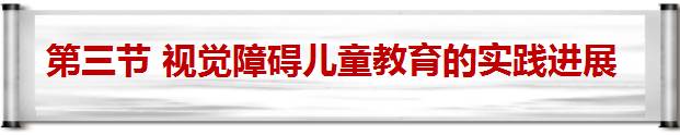 视觉训练与康复职业生涯规划书_视觉训练与康复_视觉康复训练指导技术