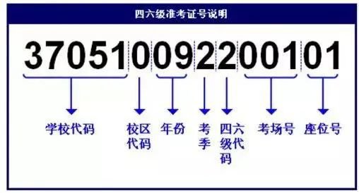 2024六级成绩身份证查询入口_六级考试成绩查询入口身份证_六级成绩查询入口官网身份证