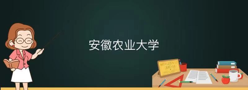 安徽二本文科大学有哪些学校_安徽文达学院是二本么_安徽二本院校文科排名