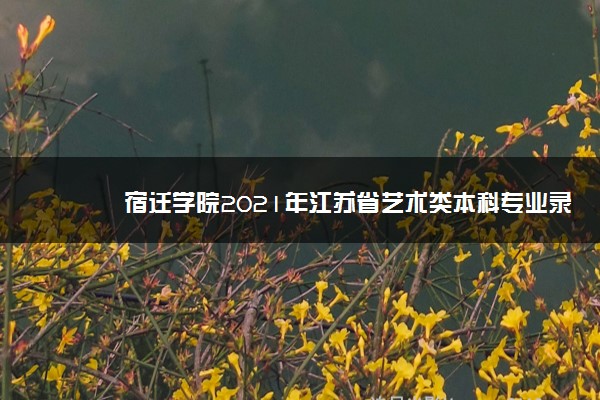 宿迁学院预估分数线2021_宿迁学院分数线_宿迁学院专业录取分数线位次